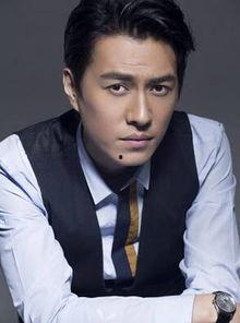 苟翰中个人资料,才华横溢的青年才俊，引领时代潮流的先锋人物